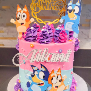 Bluey Cake